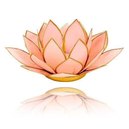Lotus sfeerlicht pastel roze goudrand