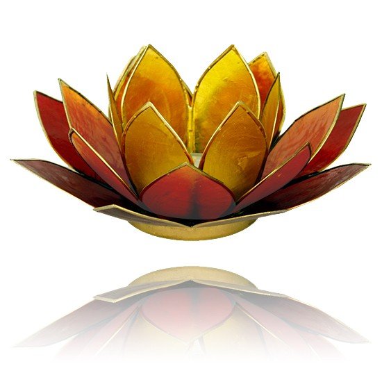 Lotus sfeerlicht 3-kleurig goudrand