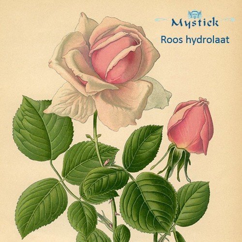 Mystiek Roos hydrolaat 100 ml